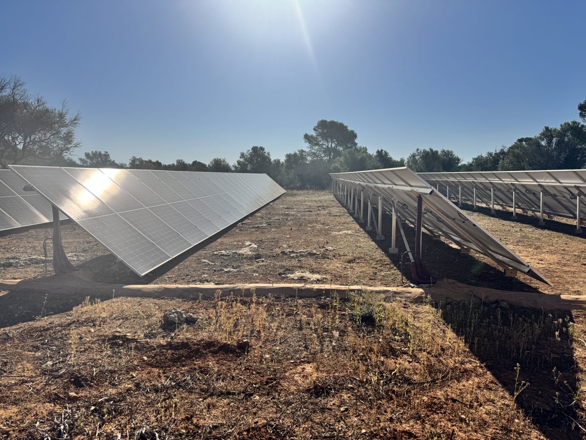 Ground-mounted solar self-consumption array installed by JSL in Campos, Mallorca