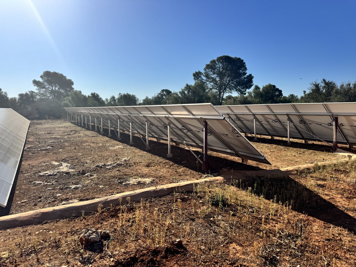 Real JSL photovoltaic installation: rows of solar panels on a finca in Llucmajor, Mallorca