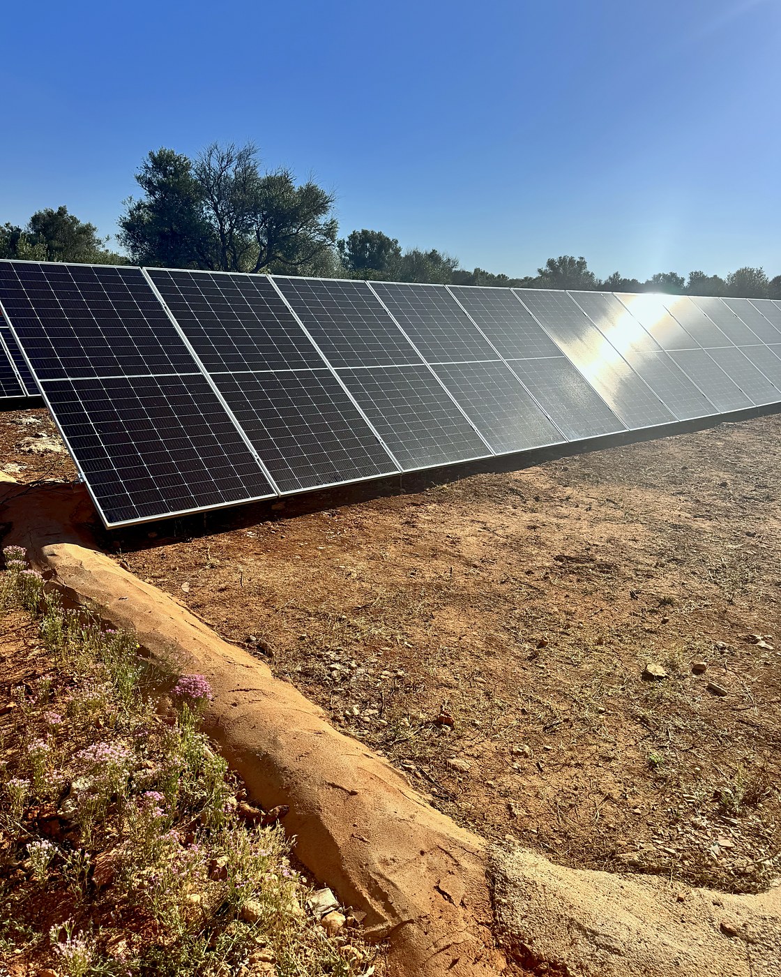 Fila de placas solares sobre estructura en suelo junto a un pinar, una instalación nuestra en Mallorca