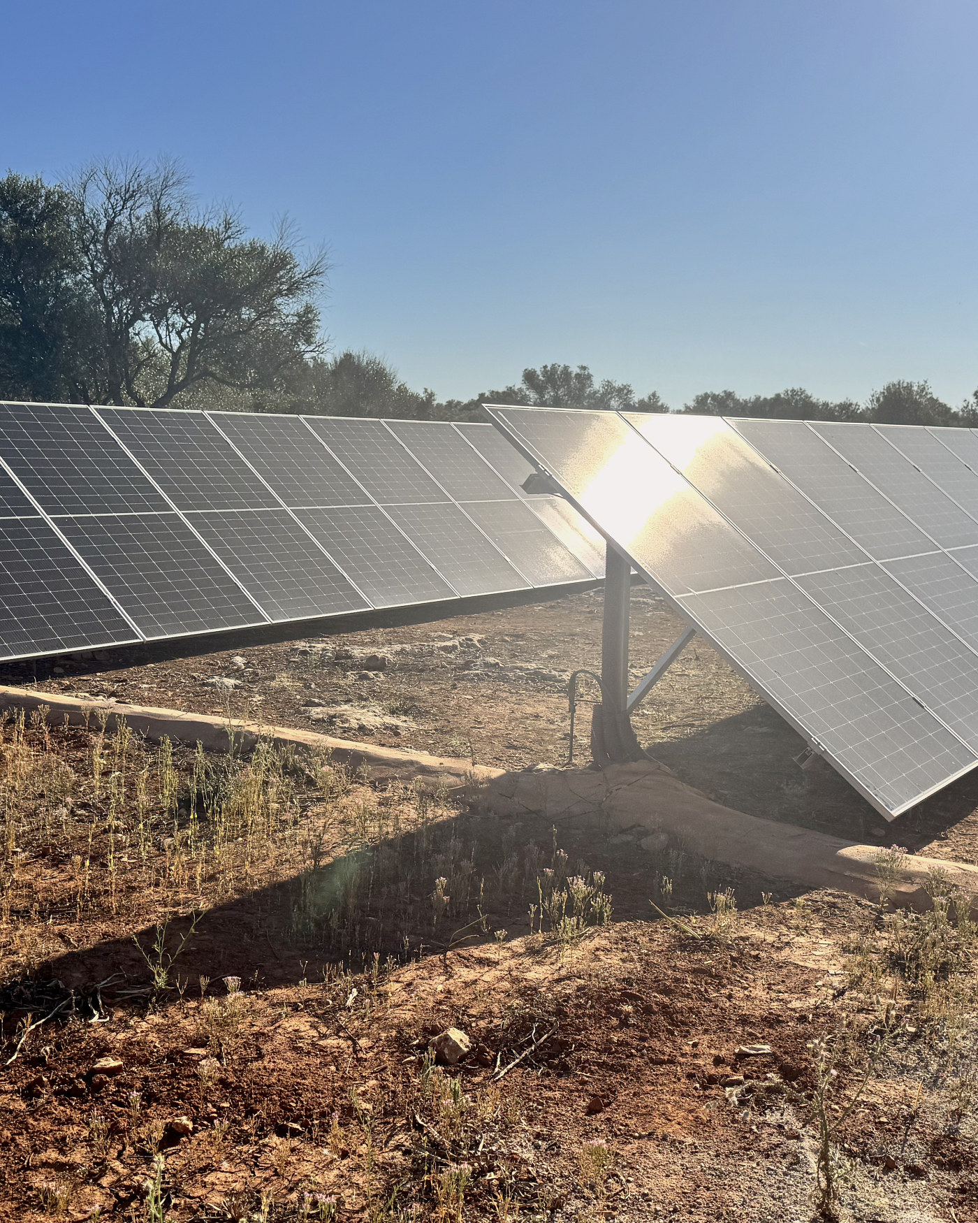 Huerto solar sobre estructura en suelo junto a un pinar, instalación de JSL en Mallorca