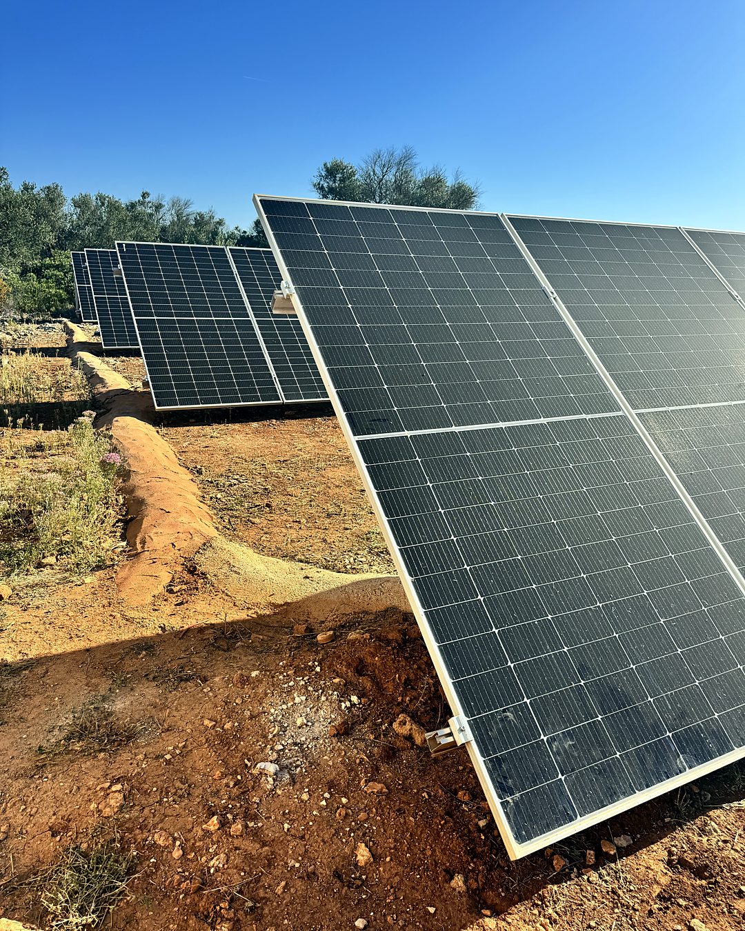 Placas solares sobre estructura en el suelo, en tierra roja entre acebuches, en una finca de Mallorca instalada por JSL