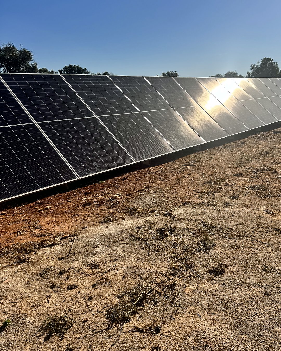 Hilera de placas solares sobre estructura en el suelo de una finca de Mallorca, con tierra rojiza y arbolado detrás