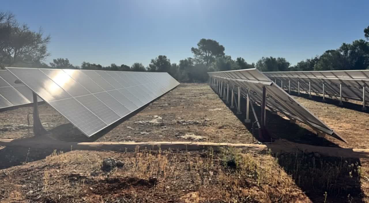 Vista aérea del campo · Generación solar limpia